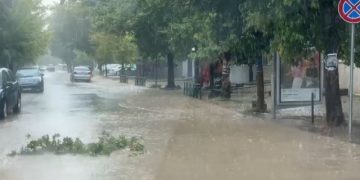 FOTO/ “Çmendet” moti në Elbasan!