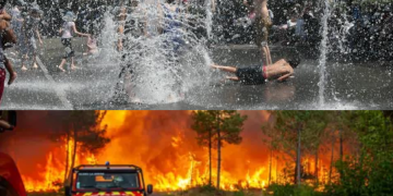 Temperaturat ekstreme “përvëlojnë” Evropën, zjarre dhe viktima në disa shtete