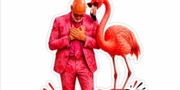 Krah flamingos dhe me kokën ulur, Rama: Faleminderit për urimet dhe sharjet në këtë ditëlindje!