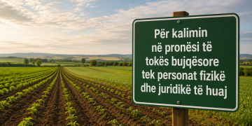 Tokat bujqësore shqiptare në ‘duart’ e të huajve! Çfarë parashikon projektligji i ri: Mund të blihet nëse…