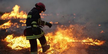 Franca dhe Spanja vazhdojnë luftën me flakët, dhjetëra mijëra të evakuuar. Çfarë është fenomeni i rrallë i “stuhisë së zjarrit”?